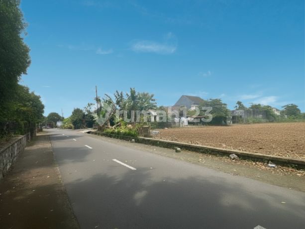 Tanah Jogja Dekat Kampus Ugm dan Uii, Nyaman Huni dan Asri