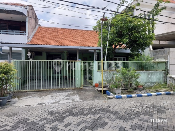 Dijual Cepat Rumah Rungkut Mejoyo Selatan Dijual Cepat Rumah Rungkut Mejoyo Selatan