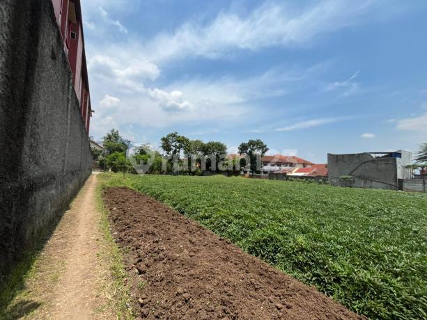 Rare 1013M Land in the Heart of Jatinangor Near 4 Prestigious Campuses Rare 1013M Land in the Heart of Jatinangor Near 4 Prestigious Campuses