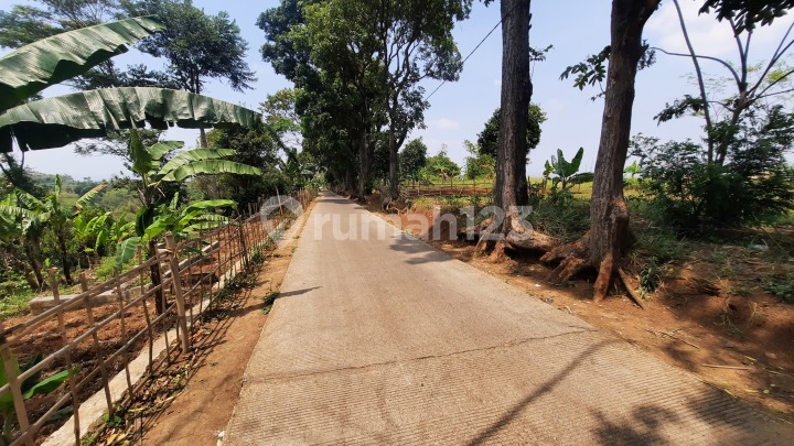 Dijual Tanah di Palasari Bandung Dekat Kampus Uin Dijual Tanah di Palasari Bandung Dekat Kampus Uin