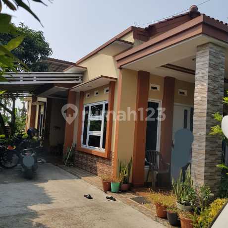 Miliki Rumah dengan Halaman yang Luas Miliki Rumah dengan Halaman yang Luas