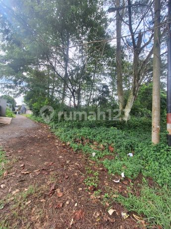 Land for Sale Behind Tamansari Persada Bogor