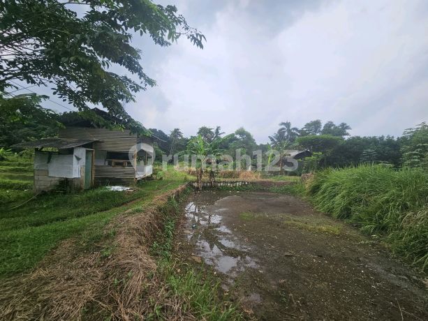 Dijual Kolam Ikan Daerah.cogreg.ciseeng Gunung.sindur Tanah