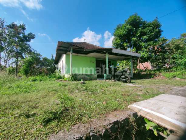 Dijual Tanah SHM Bonus Bangunan di Jalan Ngesrep Barat Tembalang - Luas 465 M², Harga 3.7 Juta/M², Dekat Kampus Undip By Prabowo Siswanto Property Dijual Tanah SHM Bonus Bangunan di Jalan Ngesrep Barat Tembalang - Luas 465 M², Harga 3.7 Juta/M², Dekat Kampus Undip By Prabowo Siswanto Property