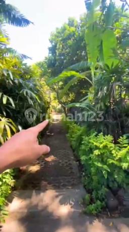 Tanah Kotak Siap Bangun Premium Batu Jimbar Dekat Pantai di Sanur