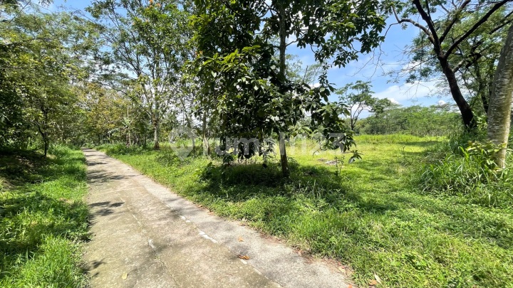 Tanah Dijual Boyolali Lokasi Mojosongo Boyolali