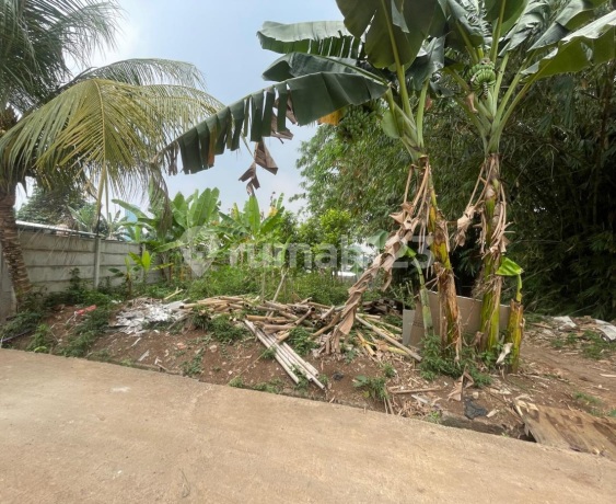Dijuallahan Di.dalam Komplex Bumi Puspiptek Asri, Cisauk,Tangeranx