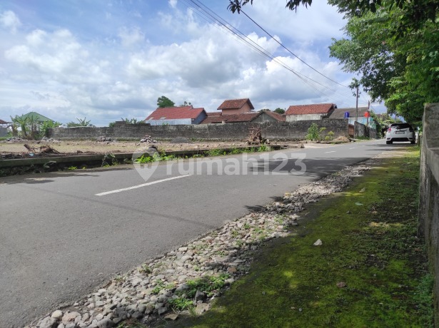 Strategic Land Suitable for Residence and Investment, 10 Minutes to UGM Campus Strategic Land Suitable for Residence and Investment, 10 Minutes to UGM Campus