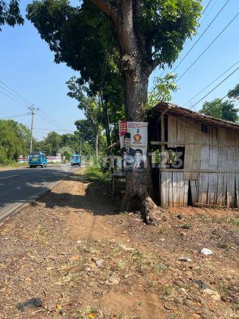 Land for Sale Cheap 18.5 Ha, Price Rp85,000/M2, Rangkasbitung Lebak