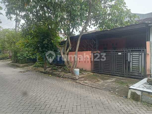Dijual Cepat Rumah Depan Taman di Pws Tigaraksa Kabupaten Tangerang Dijual Cepat Rumah Depan Taman di Pws Tigaraksa Kabupaten Tangerang