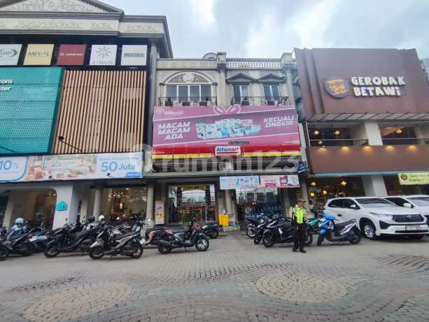 Hot Sale 2-Unit Row House in Alam Sutera (Demansion) Currently Leased, Free Parking
