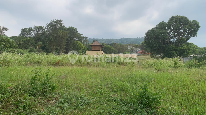 For Sale: Natural Green Plot in Taman Dayu, Pasuruan