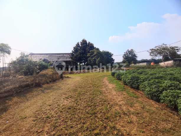 Dijual Cepat Tanah Murah di Parung Bogor