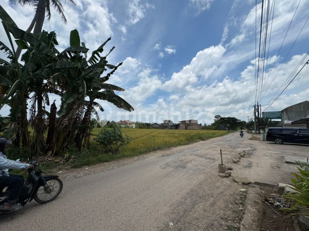 Dijual Tanah dan Sawah Pinggir Jalan di Desa Sidosari, Natar Dijual Tanah dan Sawah Pinggir Jalan di Desa Sidosari, Natar