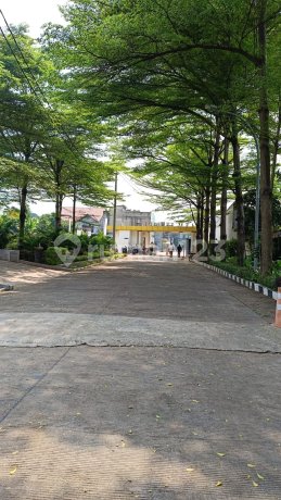 Perumahan Palem Lestari Perumahan Palem Lestari