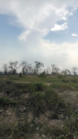 Tanah Industri Manyar Gresik .Maspion V. Lebar 68M X 350M. HGB Pt. Row Jalan 40M. Tanah Industri Manyar Gresik .Maspion V. Lebar 68M X 350M. HGB Pt. Row Jalan 40M.