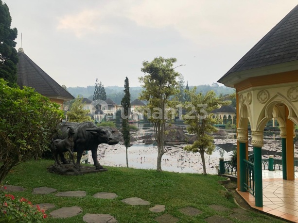 For Sale Villa Flower City Cipanas Puncak - Beautiful Lake View, Ready to Occupy