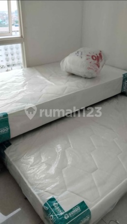 Apartemen Elpis Residence 2Br Full Furnish Apartemen Elpis Residence 2Br Full Furnish