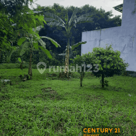 Dijual Cepat Tanah Strategis Siap Dibangun di Meadow Green Dijual Cepat Tanah Strategis Siap Dibangun di Meadow Green
