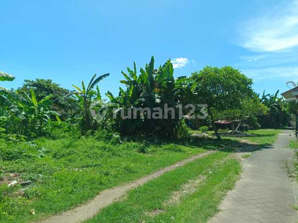 Tanah Murah 2800m2 Dkt Pantai Tanjung Benoa Nusa2 Idr 5,5jt/m2
