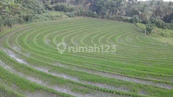 Tanah Komersial View Laut 500M ke Pantai Bonian