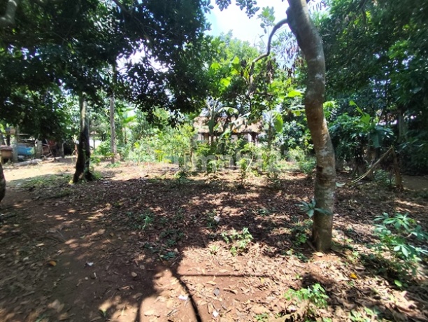 GD - Dijual Tanah Di Wisma Asri Cibening Kab Bekasi GD - Dijual Tanah Di Wisma Asri Cibening Kab Bekasi