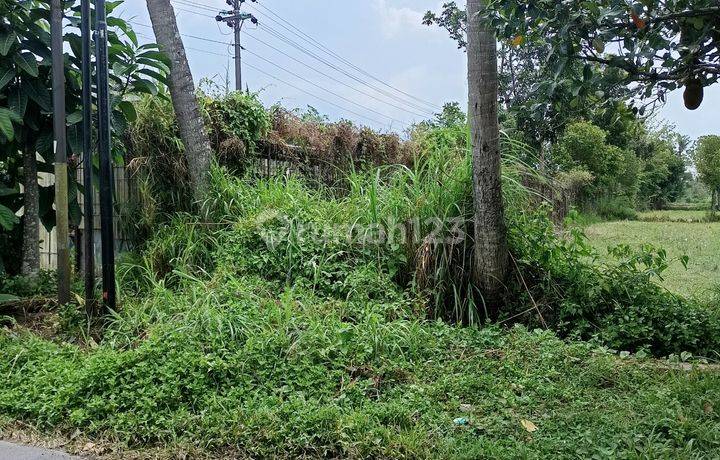 Tanah Luas Area Medari Sleman 