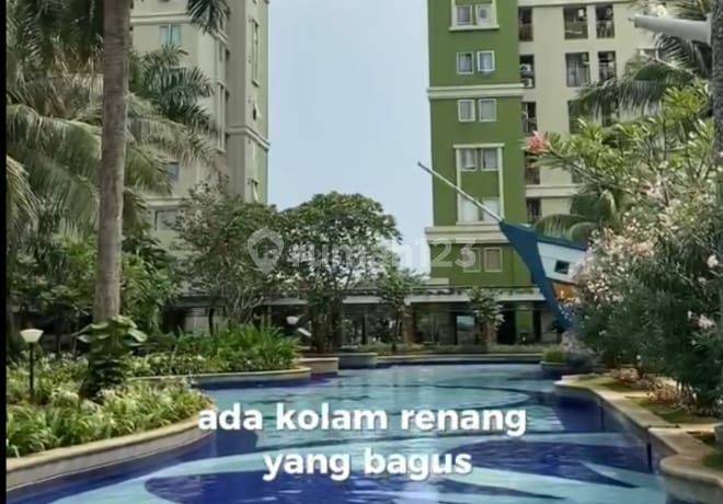 Apartemen Green Palace Kalibata City 3 Br.... Tower Mawar....view S.pool