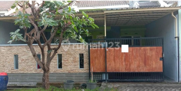 Rumah Siap Huni 1 Lantai di Jaya Maspion Permata Sidoarjo Rumah Siap Huni 1 Lantai di Jaya Maspion Permata Sidoarjo
