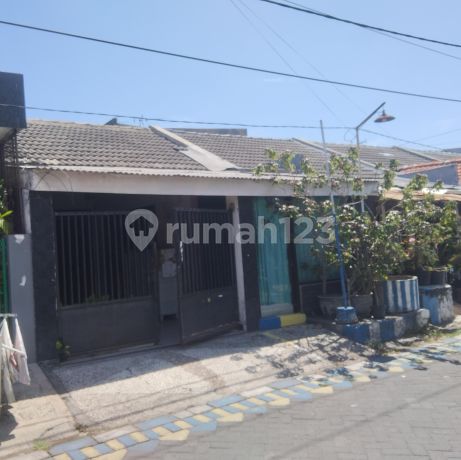 Rumah Murah Siap Huni di Griyo Mapan Sentosa Sidoarjo Rumah Murah Siap Huni di Griyo Mapan Sentosa Sidoarjo