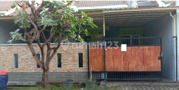 Rumah Siap Huni 1 Lantai di Jaya Maspion Permata Sidoarjo Rumah Siap Huni 1 Lantai di Jaya Maspion Permata Sidoarjo