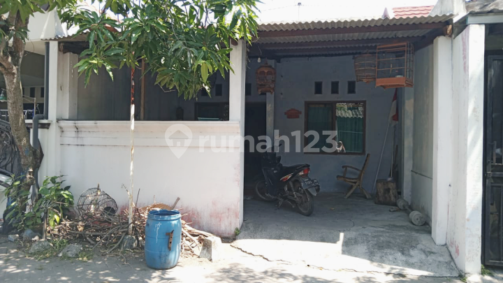 Plamongan Indah Second House