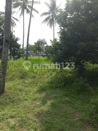 Tanah Kavling di Puri Cileungsi Bogor Lokasi Strategis Nego 