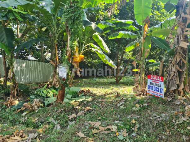 Kav SHM Luas 365 Cakep di Bintaro Jaya Kav SHM Luas 365 Cakep di Bintaro Jaya