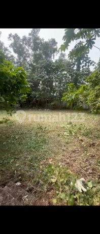 Tanah Kosong Jual Di Bawah Njop Jagakarsa Jalan Durian Raya