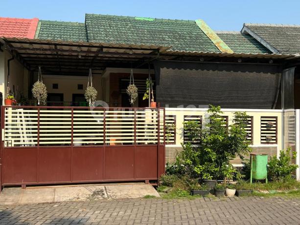 Rumah Garden Dian Regency Waru Sidoarjo 123m2 Bangunan Terawat Dekat Fasum 10 Menit ke Bandara Rumah Garden Dian Regency Waru Sidoarjo 123m2 Bangunan Terawat Dekat Fasum 10 Menit ke Bandara