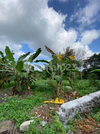 COCOK DIBANGUN VILLA Kavling Siap Bangun Greenlot Residence Munggu Bali 11 Are SHM River View