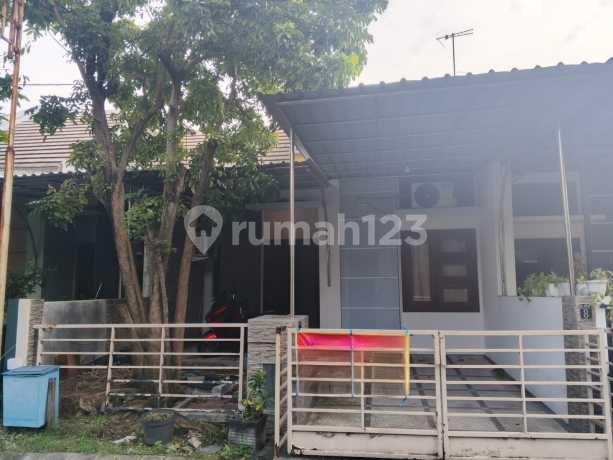 Bagus Terawat, Lihat Pasti Suka | Rumah Siap Huni Taman Riviera Regency Ykp - Medokan Rungkut Bagus Terawat, Lihat Pasti Suka | Rumah Siap Huni Taman Riviera Regency Ykp - Medokan Rungkut