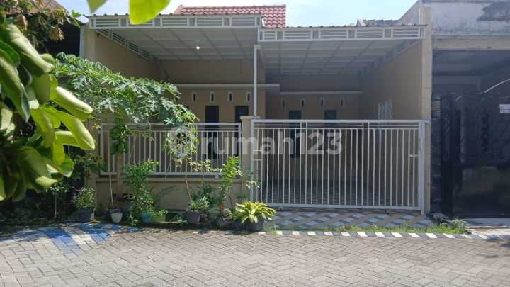 Cuma 500 Juta Sudah Dapat Rumah Baru Gress di Surya Residence Cuma 500 Juta Sudah Dapat Rumah Baru Gress di Surya Residence