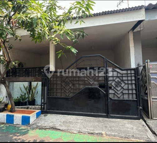 Rumah Griyo Mapan sentosa Tropodo dekat Bandara Juanda Rumah Griyo Mapan sentosa Tropodo dekat Bandara Juanda