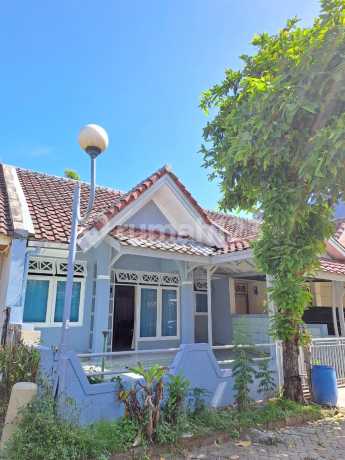 Strategic Location, Neat, Saphuni