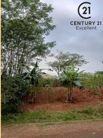 Lot for Sale in Lembah Padi Cluster, Telaga Kahuripan Housing, Parung Bogor.