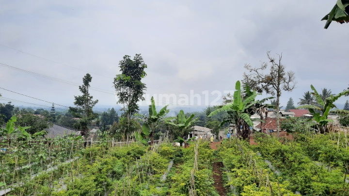 Tanah Strategis View Bagus untuk Villa Mega Mendung Bogor