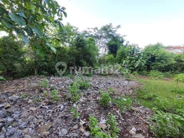 Dijual Tanah 7 Are Lokasi Strategis di Jl. Bingin Sari Jimbaran Dijual Tanah 7 Are Lokasi Strategis di Jl. Bingin Sari Jimbaran