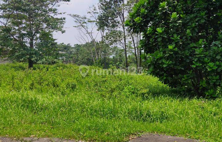 Kavling siap Bangun di Cluster Golf Mediterania Sentul City Bogor