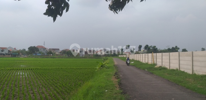 Tanah Sawah Lokasi Premium Tanah Sawah Lokasi Premium