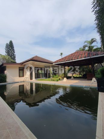 Dijual Bawah Njop Kemang Rp 13.3juta/m2 Luas 2028m2 Bebas Banjir Dijual Bawah Njop Kemang Rp 13.3juta/m2 Luas 2028m2 Bebas Banjir