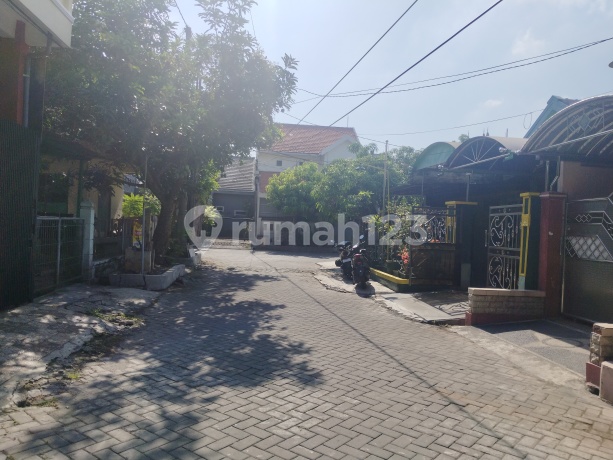 For Sale: 2-Story House in Bumi Marina Emas Housing, Keputih Sukolilo, East Surabaya. For Sale: 2-Story House in Bumi Marina Emas Housing, Keputih Sukolilo, East Surabaya.