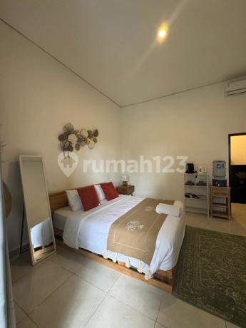  Cozy Apartment in Bumbak Umalas - Prime Central Location