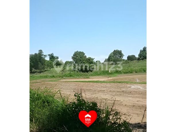 Tanah dekat Perumahan Tenjo City di Tenjo Bogor